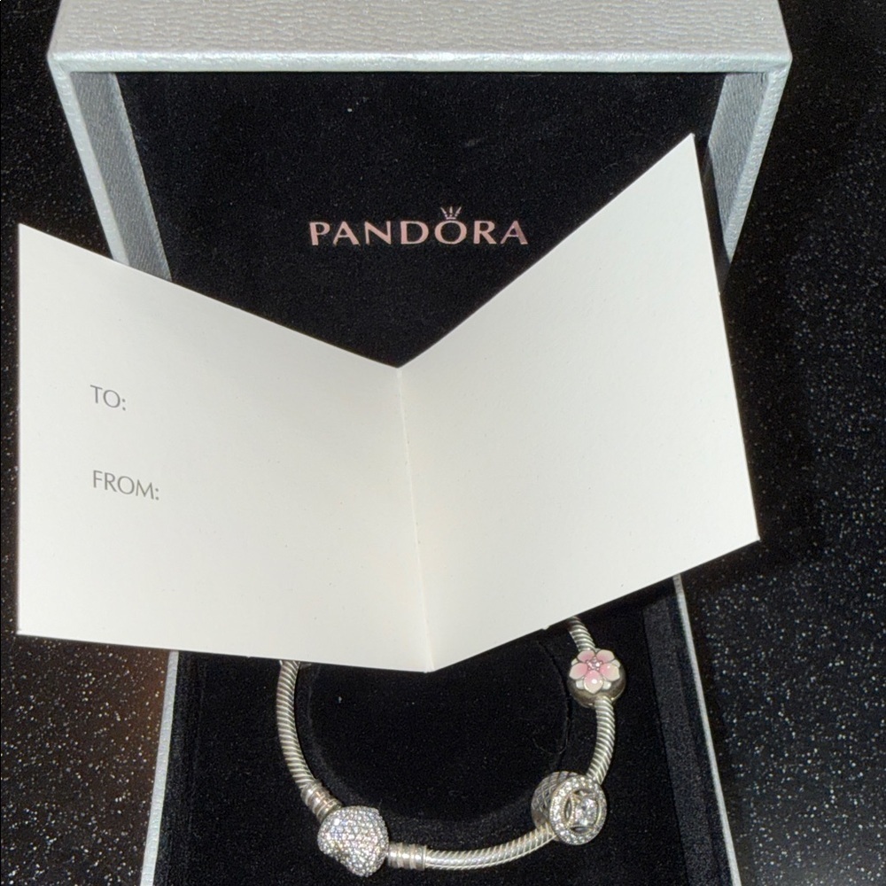 Pandora Silver Bracelet with Pink and Silver Charms Limited Edition - Picture 13 of 14